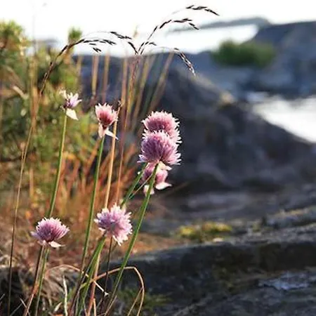 別荘 Vaestantill By Interhome