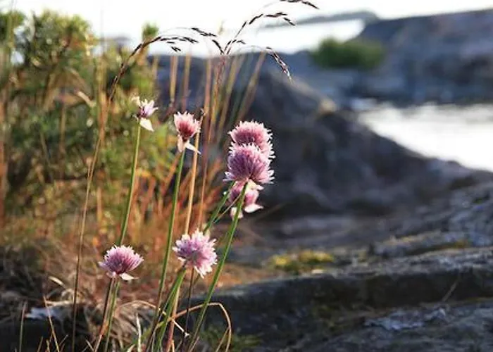 Vaestantill By Interhome * Hitis